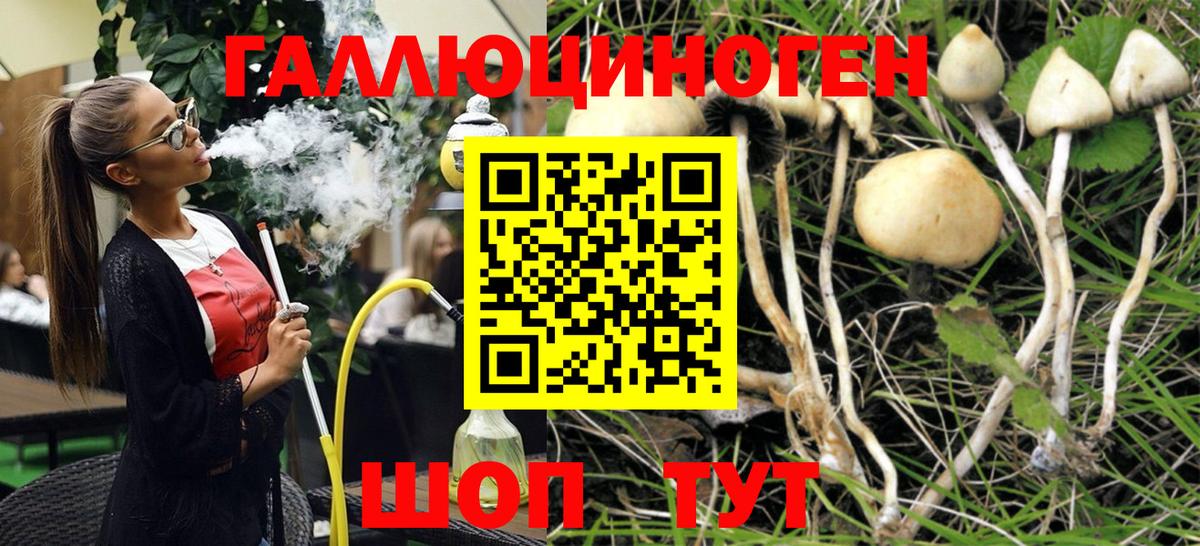 Галлюциногенные грибы Magic Shrooms Острогожск
