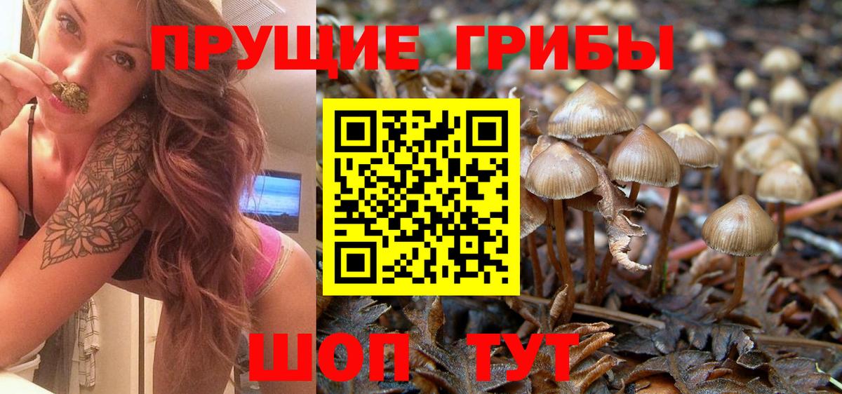 Галлюциногенные грибы Cubensis  Вход с VPN  Псилоцибиновые грибы прущие грибы  Острогожск 